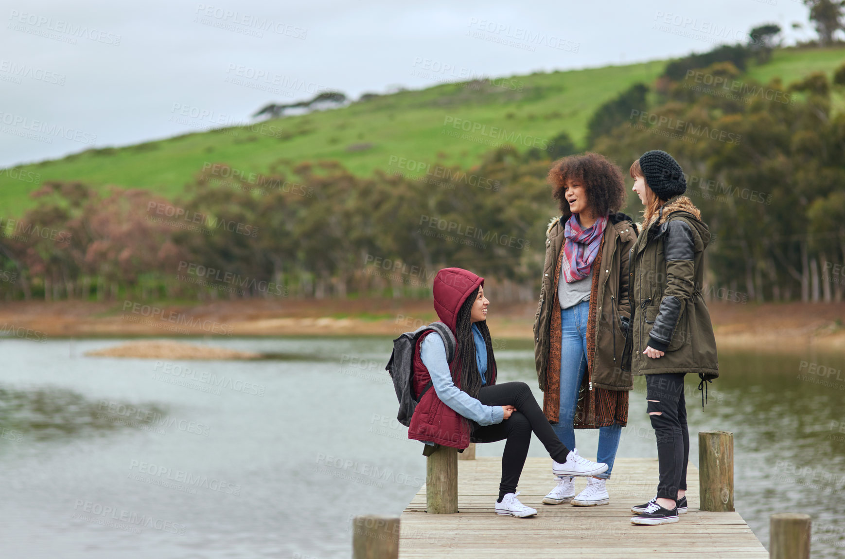 Buy stock photo Shot of a group of friends having a conversation on a pier by a lake