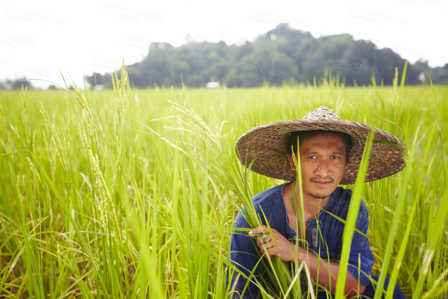 Buy stock photo Portrait, space and an asian man rice farmer in a field for sustainability in the harvest season. Plant, agriculture and growth in the countryside with a farm worker on a plantation in rural China