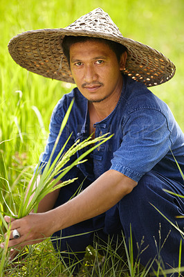 Buy stock photo Portrait, sustainability and an asian man rice farmer in a field for agriculture in the harvest season. Plant, grass and growth in the countryside with a farm worker on a plantation in rural China