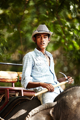 Buy stock photo Indian, man and portrait of trainer riding on back of elephant for wildlife, animal rescue and outdoor. Sanctuary, face and person in nature for transportation, adventure or conservation in forest