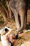 Yuri's personal assistant getting up-close and personal with a captive Asian Elephant