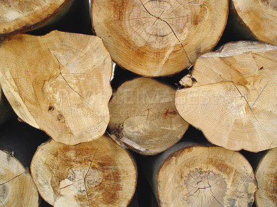 Buy stock photo Trees, background and stack of wood in circle for deforestation, sustainability and timber material. Closeup, ring patterns and log texture in environment, plant ecology and lumber industry in nature