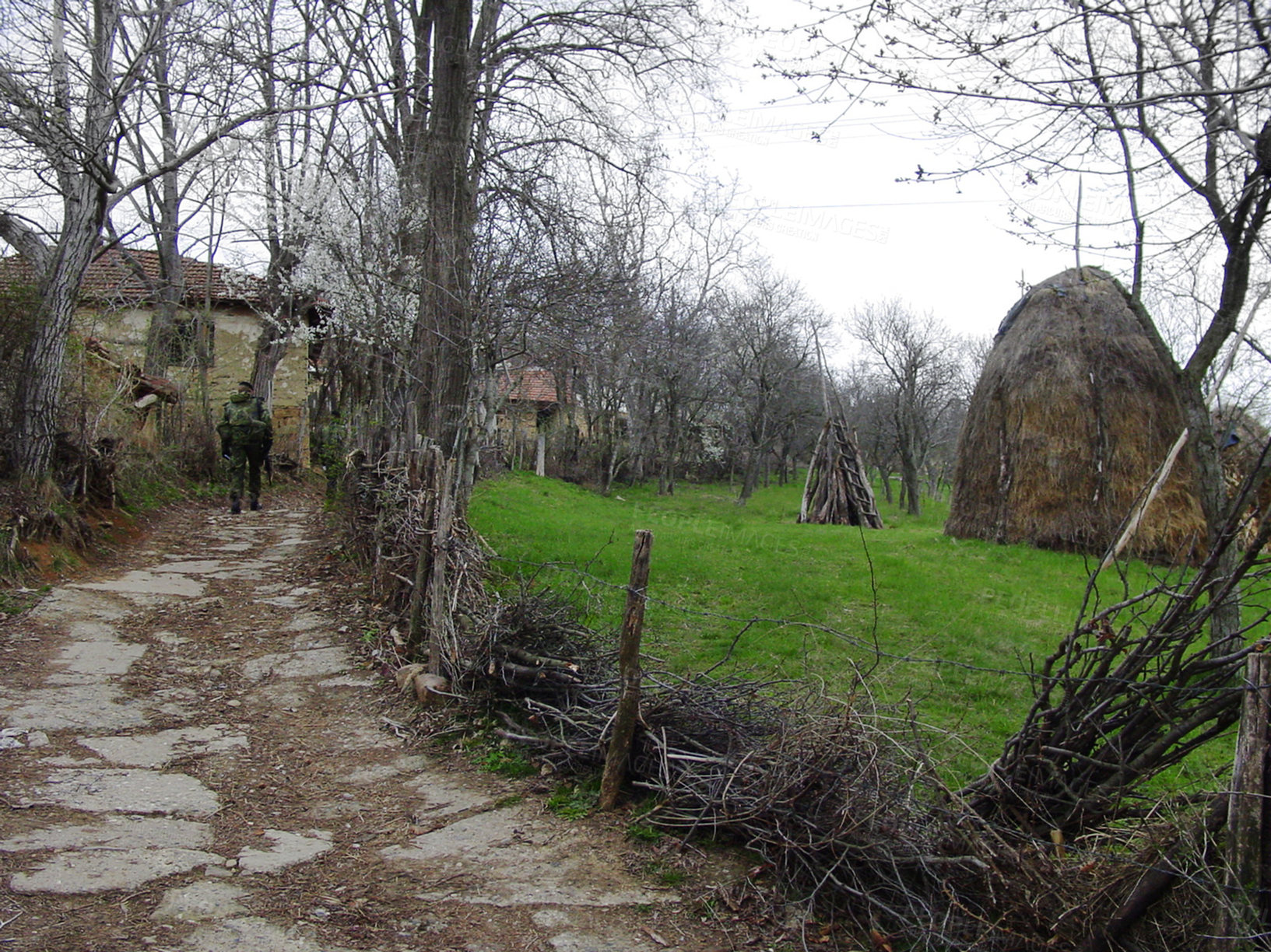 Buy stock photo Soldier, military patrol and road in the countryside with a man walking on a farm during a war or battle. Army, officer and peace mission with a person in a rural village for border security