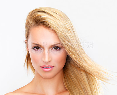 Buy stock photo Portrait, skincare and hair of a woman closeup in studio on a white background for natural wellness or cosmetics. Face, beauty and foundation with a confident young model at the salon for dermatology