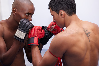 Buy stock photo Sports, fight competition and mma people, boxer or kickboxing fighter contest, challenge or muay thai workout. Rival, studio battle or athlete fitness, exercise or boxing opponent on white background