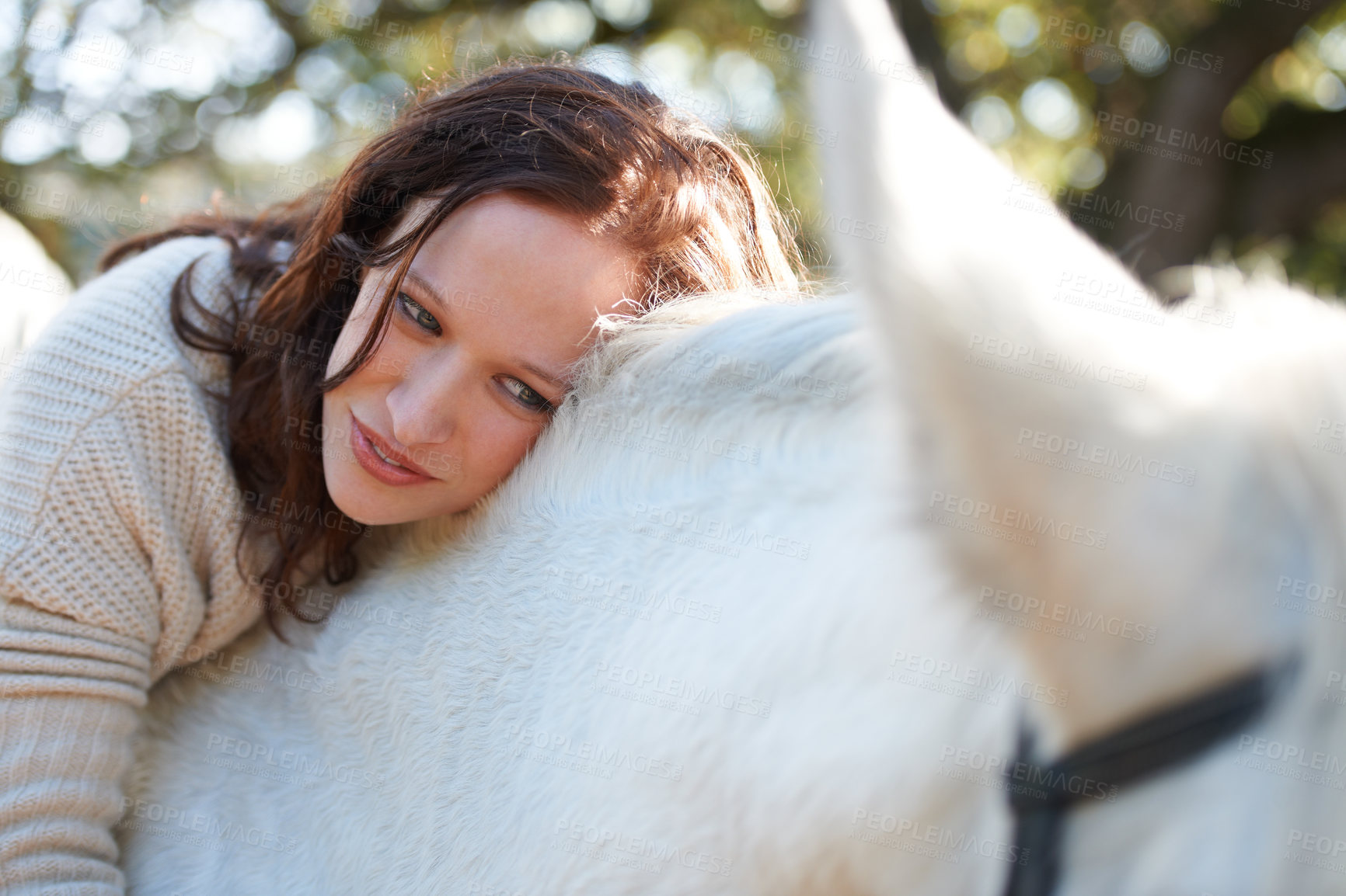 Buy stock photo Nature, smile and woman laying on her horse on an outdoor farm for sports racing. Love, happy and young person from Canada with her equestrian animal or pet in countryside ranch for adventure.