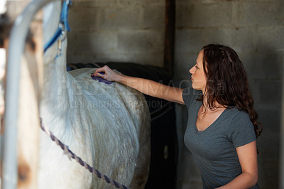 Buy stock photo Horse, cleaning or woman with brush in stable for animal care, farm pet and grooming in countryside. Farming, body or lady with stallion for brushing fur for wellness, healthy pet or hygiene in ranch