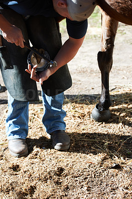 Buy stock photo Farrier man, horse foot and outdoor with hammer for help, race and speed with tools, care and shoes. Vet person, equine doctor and healthcare for animal hooves, pet and safety at ranch in countryside