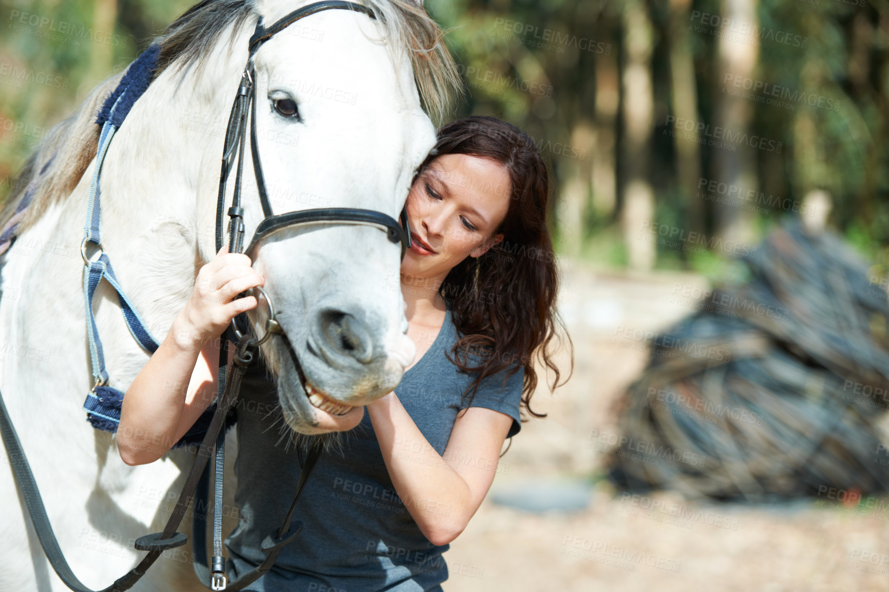 Buy stock photo Woman with horse in countryside, animal and equestrian with riding outdoor and ranch. Sports, recreation and farm with young rider in nature, stable and jockey with mare or pet, training for rodeo