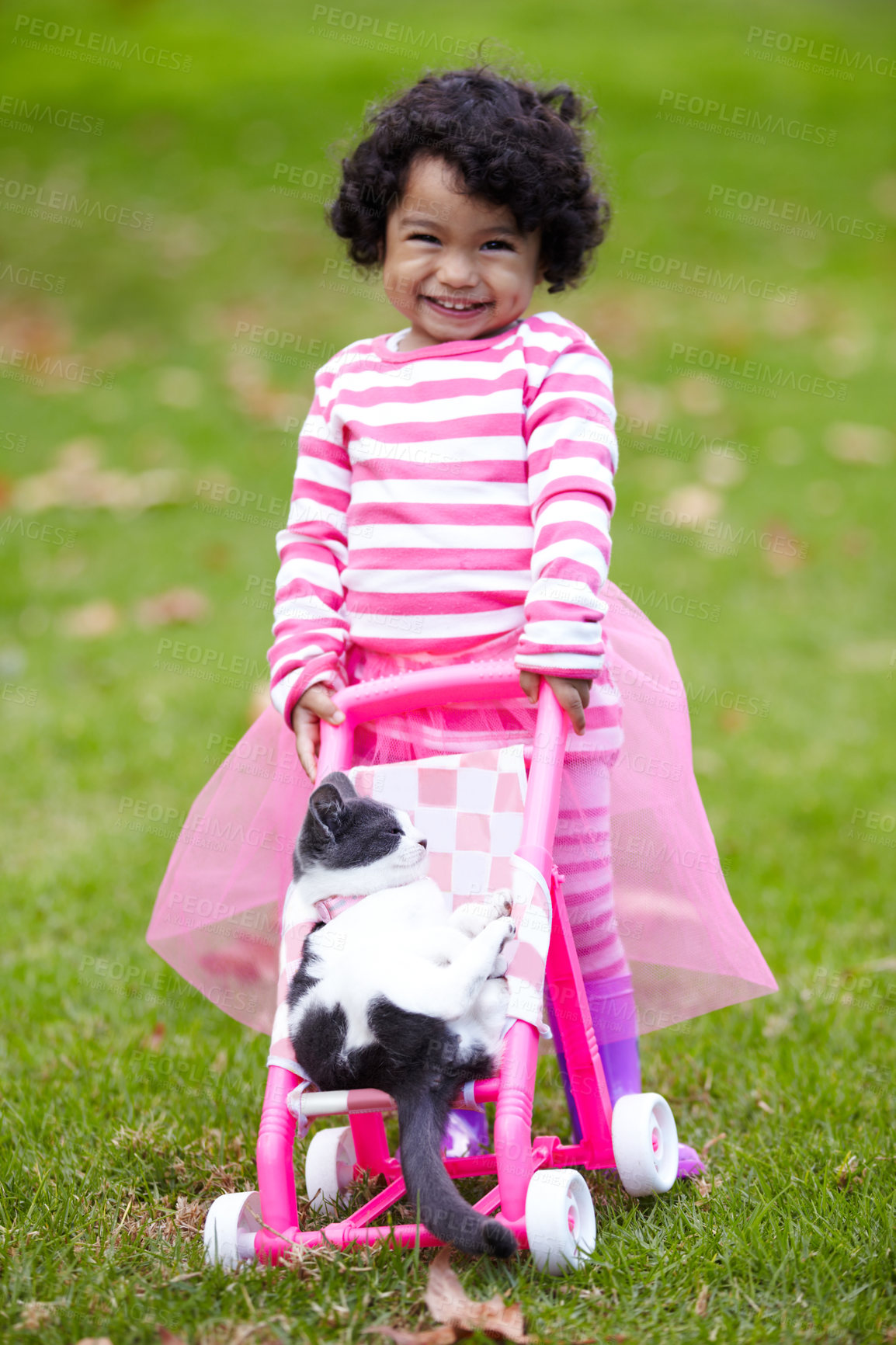 Buy stock photo Portrait, happy kid and kitten for playing with baby carriage on grass, garden or backyard of family home. Little girl, pet and pushing of stroller together for fun, imagine or game for bond by care