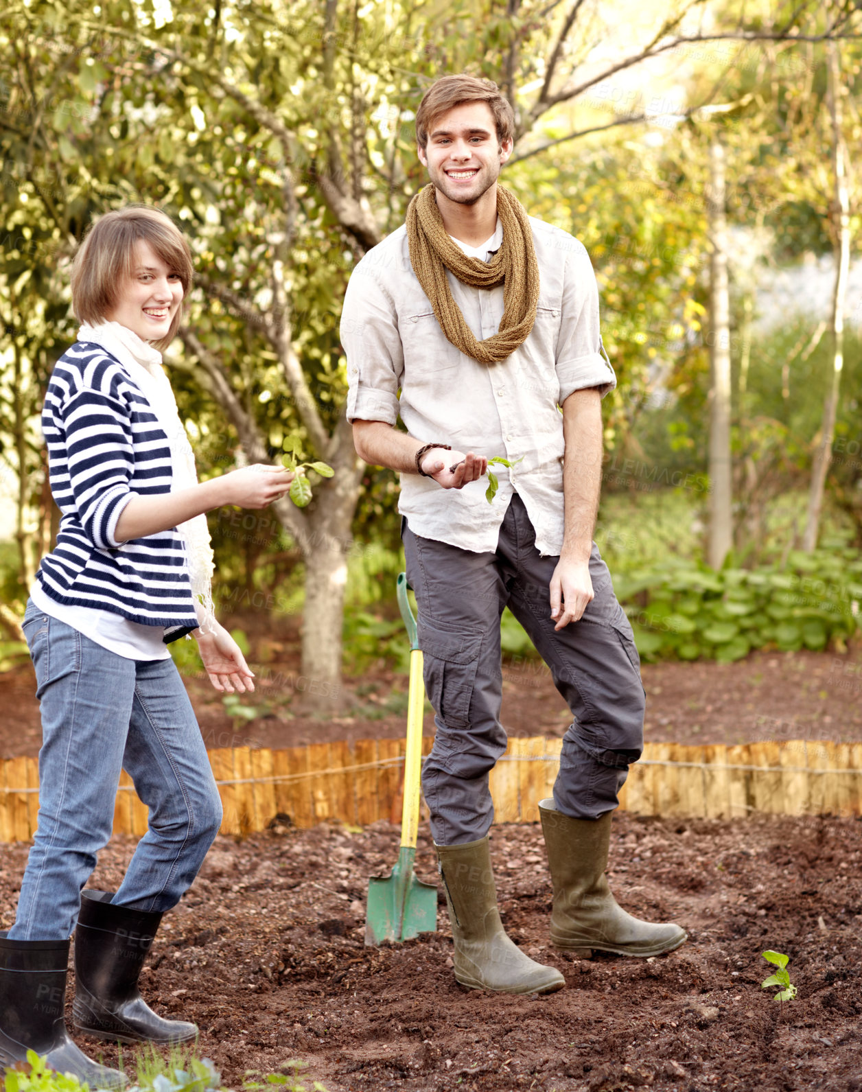 Buy stock photo Portrait, man and woman for garden with agriculture in backyard with seeds, shovel and soil for nature. Happy people, couple or friends with smile for environment, sustainability and green in spring