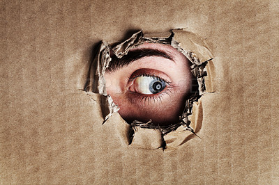 Buy stock photo Closeup portrait of an eye looking through a ripped hole in a piece of cardboard