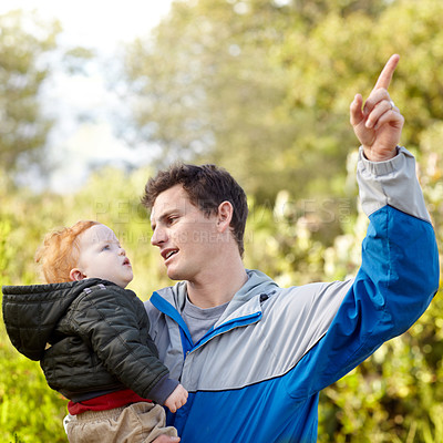 Buy stock photo Father, child and pointing on hike in nature for teaching, learning or education of forest. Scotland, man and boy on adventure, journey or trip to explore woods, greenery or plants for quality time