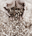A handful of gravel