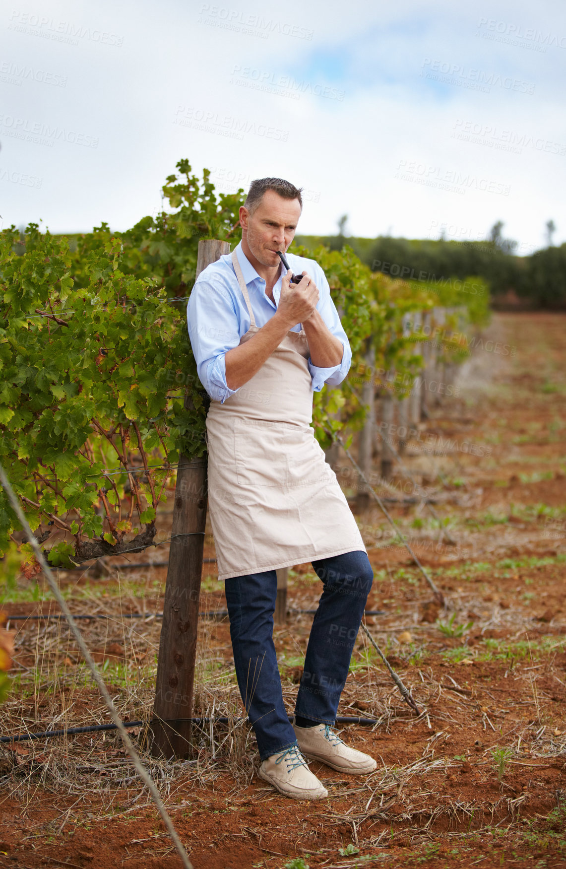 Buy stock photo A mature wine maker taking a break and smoking a pipe in the vineyard