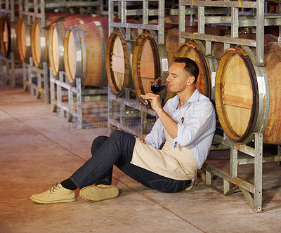 Buy stock photo Cellar, mature man wine tasting and sitting by a barrel in a warehouse. Wood cask storage, aging drink and a male sommelier holding or drinking a glass of alcohol or red blend in a factory working
