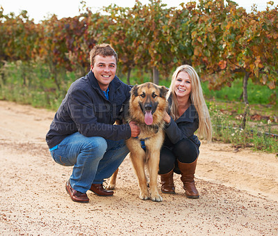 Buy stock photo Portrait of a young couple with their pet Alsatian on a wine farm