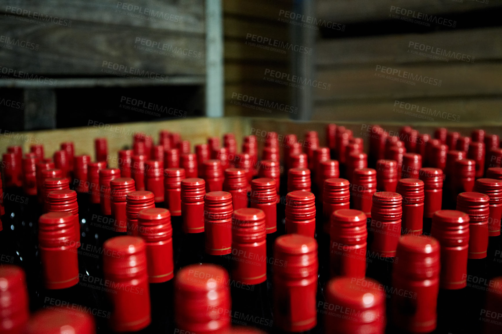 Buy stock photo Closeup of many red wine bottles in a box at a bottling factory. Lots of unopened red wines at warehouse ready for distribution to wine selling business. Bulk bottle collection in winemaking industry