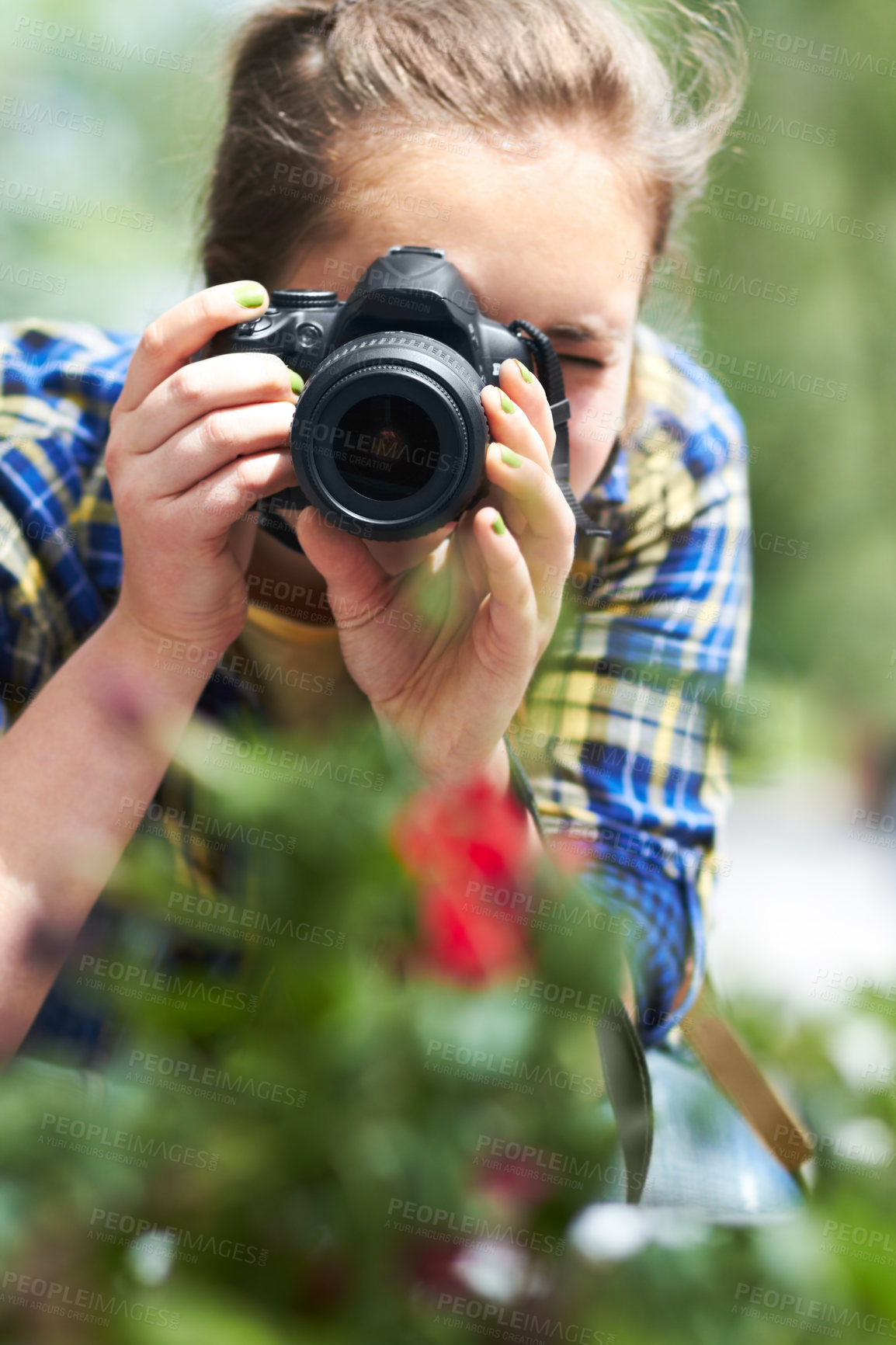 Buy stock photo Woman, camera and photography in nature for flower, plant and growth in garden, park and summer sunshine. Girl, photographer and travel in countryside with red flowers, memory and outdoor with leaves