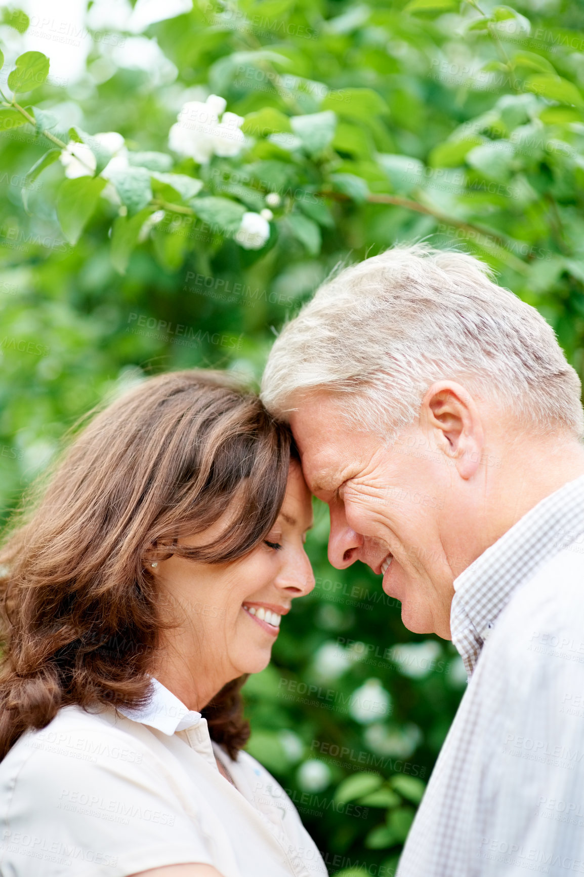 Buy stock photo Senior couple, forehead and love in park, care and happy for commitment in marriage. England, man or woman in retirement in nature, connect and bond together in support wellness on relax vacation