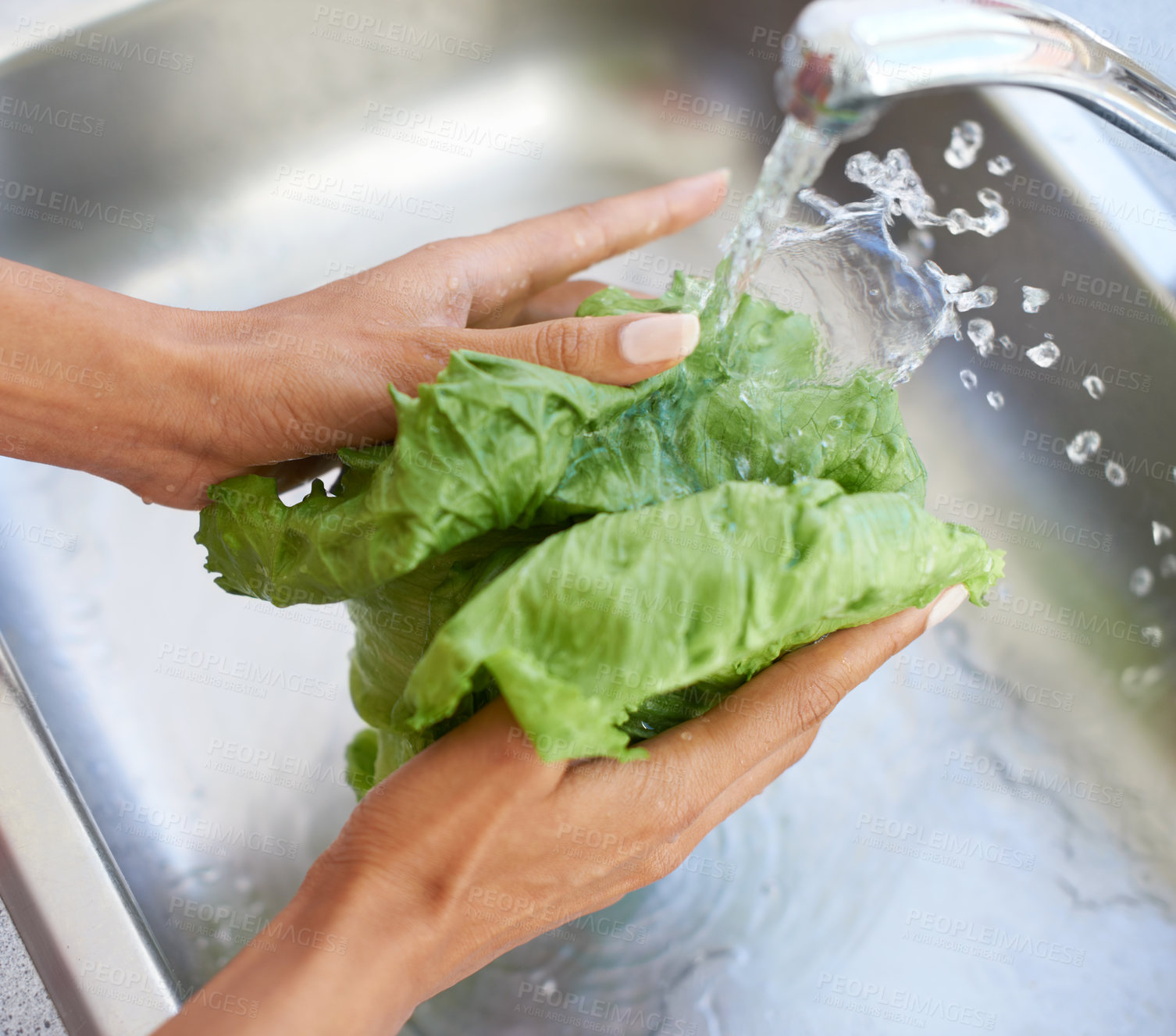 Buy stock photo Woman, hands and washing lettuce in water or sink for fresh produce, natural vegetables or health in kitchen at home. Closeup of female person or vegan rinsing organic vegetable for salad preparation
