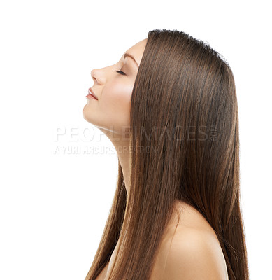 Buy stock photo Beauty, hair and profile of woman in studio with salon hairstyle, confidence and cosmetics. Haircare, natural aesthetic and face of model girl with healthy style growth isolated on white background.