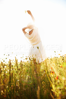 Buy stock photo Freedom, back and woman at wheat field with flower in the countryside in summer, vacation or travel. Rear view, person in hat at farm or nature, garden or outdoor for stretching, lens flare or mockup