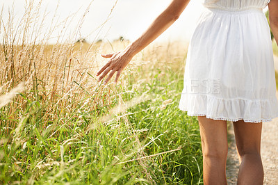 Buy stock photo Cropped shot of a woman in a wheat field