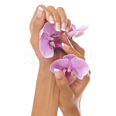 Buy stock photo Woman hands, beauty and orchid flower with manicure nails after spa or beauty salon treatment in studio. Body of female model for floral background, health and wellness with natural cosmetics