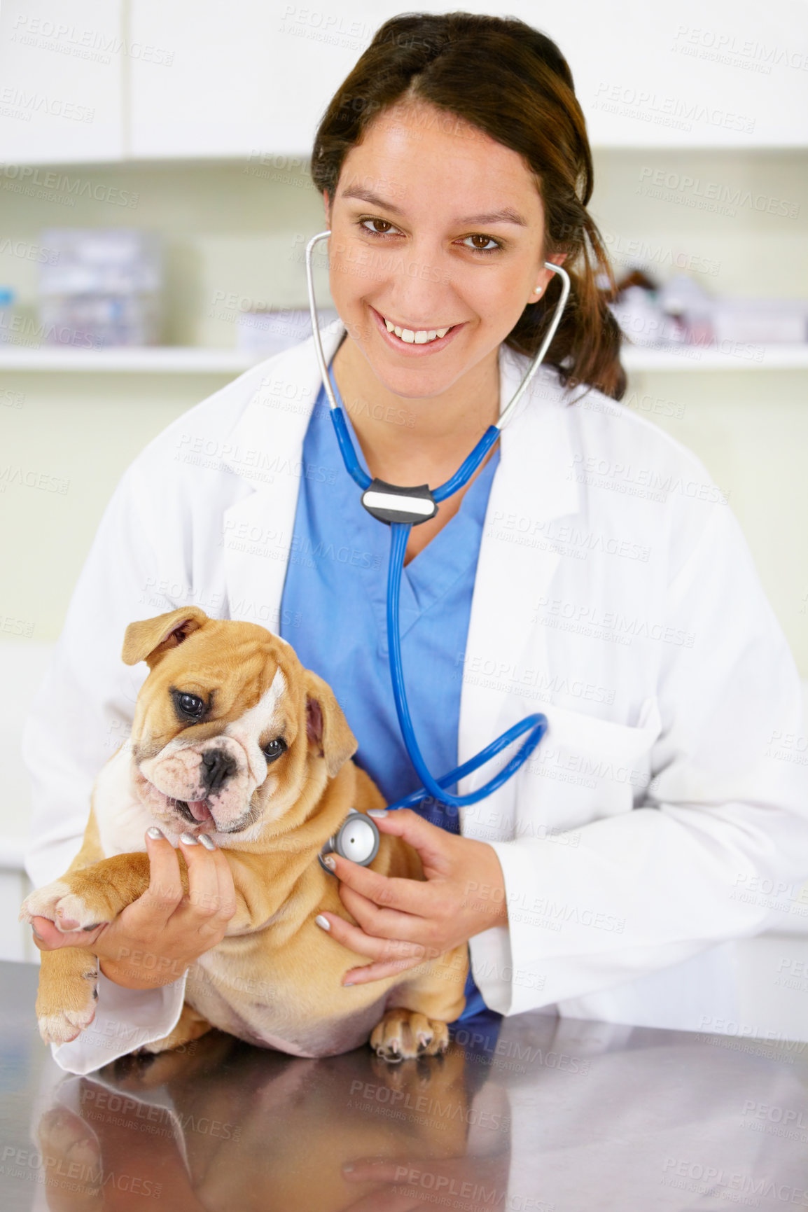 Buy stock photo Portrait, happy doctor or dog at vet clinic for animal healthcare checkup in nursing consultation with stethoscope. Inspection, nurse or sick bulldog pet or puppy get exam or medical test for help 