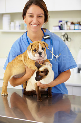 Buy stock photo Portrait, vet and woman with animals, clinic and care with help, care and support with a smile, charity work and empathy. Face, female person or veterinarian with a cat, bulldog and medical treatment