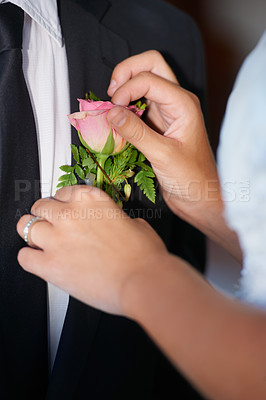 Buy stock photo Closeup, hands or flower on wedding suit, tuxedo or jacket in marriage unity, love or event. People, bride or groom couple and rose, plant or boutonniere in celebration, commitment and placement help