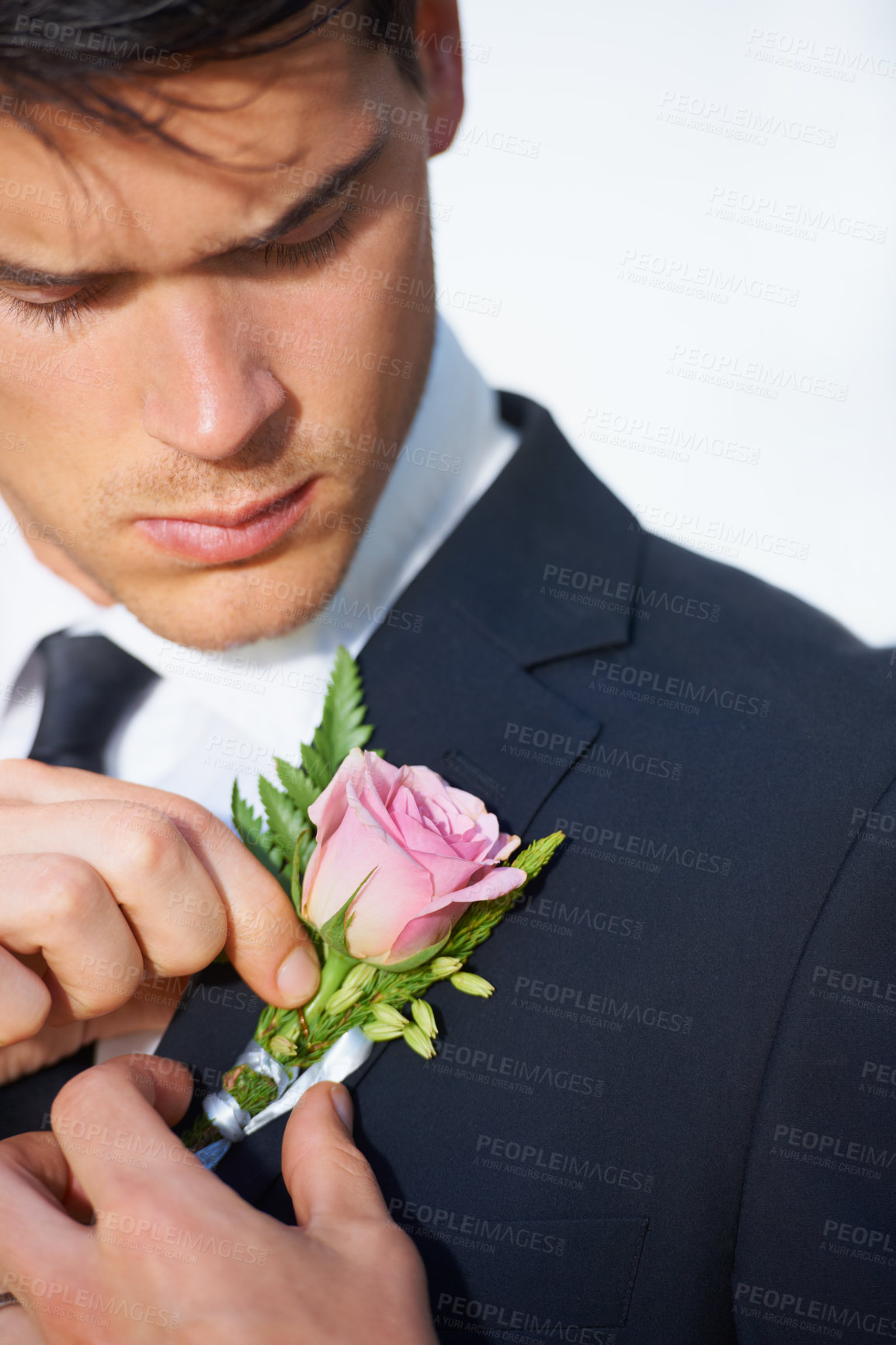 Buy stock photo Man, hands or flower on wedding suit, tuxedo or jacket in marriage, love or event. Person, fashion and groom fixing pink rose, plant or boutonniere in celebration, commitment and checking placement