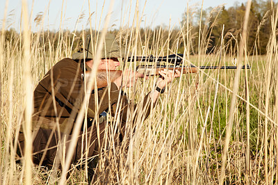 Buy stock photo Nature, hunter and man with a rifle while in camouflage shooting in outdoor field. Grass, wildlife and male sniper hunting animals with shotgun weapon hiding in plants to shoot target in countryside.