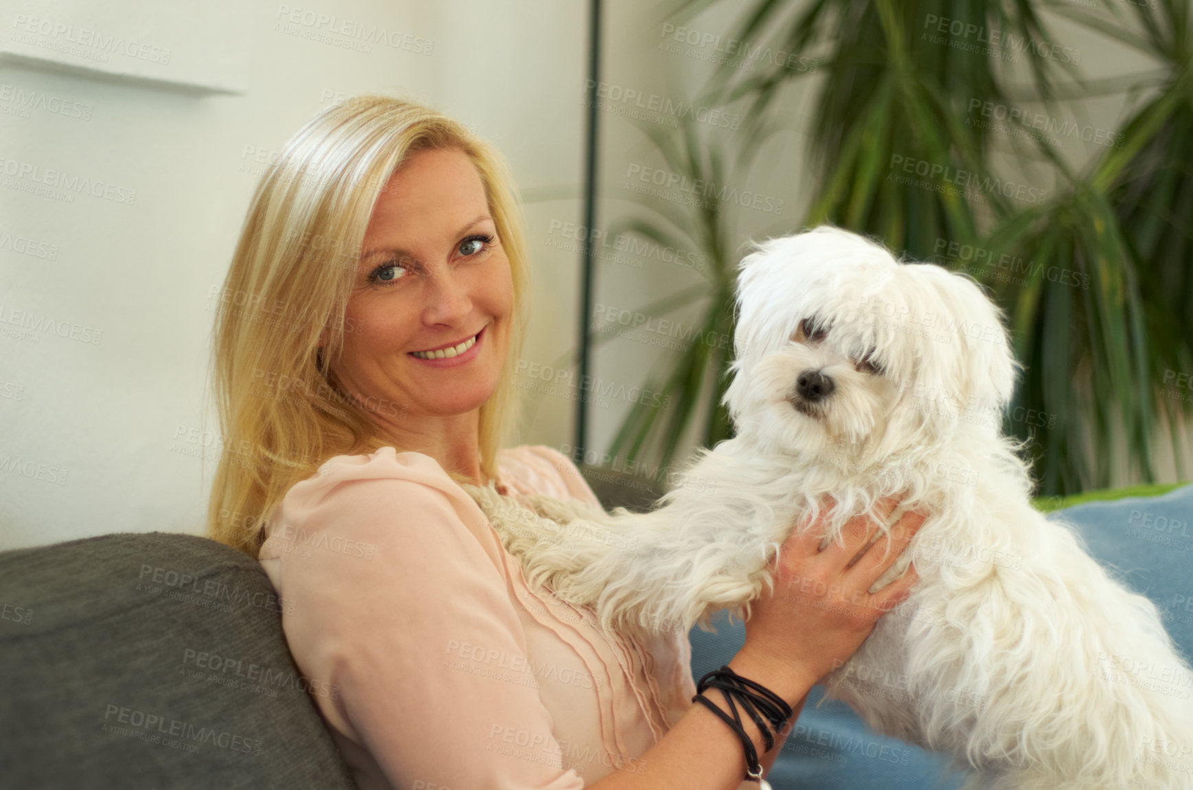 Buy stock photo Woman, poodle dog and portrait on couch with smile, hug and care together with love, bonding or comfort in home. Pet puppy, animal and happy on sofa in living room with calm, quiet and cute in house