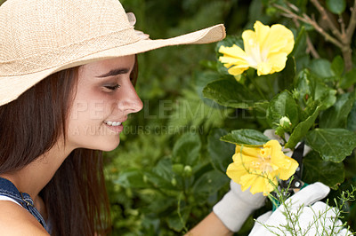 Buy stock photo A beautiful young woman tending to the flowers in her garden