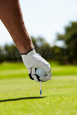 Buy stock photo A golfer putting his tee into the ground on the golf course