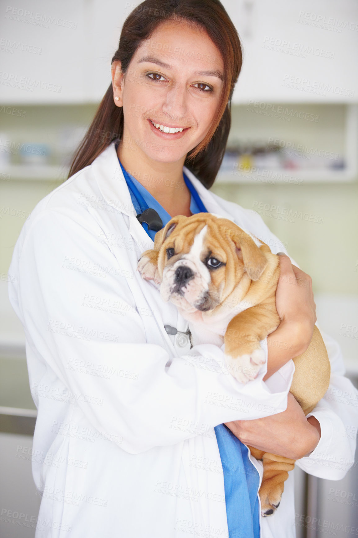 Buy stock photo Woman vet, puppy and clinic portrait with smile, care and love for health, wellness or growth. Female veterinarian, doctor and dog with hug, happiness and healthcare in hospital for medical attention