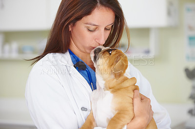 Buy stock photo Woman vet, puppy and kiss in hospital, care and love for health, wellness or growth of animal. Female veterinarian, doctor and dog with hug, happiness and healthcare in clinic for medical attention