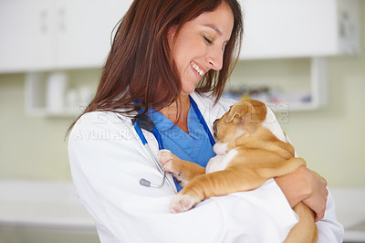Buy stock photo Woman vet, puppy and animal hospital with smile, care and love for health, wellness or growth. Female veterinarian, doctor and dog with hug, happiness and healthcare in clinic for medical attention