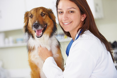 Buy stock photo Vet clinic portrait, dog and happy woman for medical help, wellness healing services or animal healthcare support. Happiness, veterinary job experience and hospital veterinarian smile for pet K9 exam