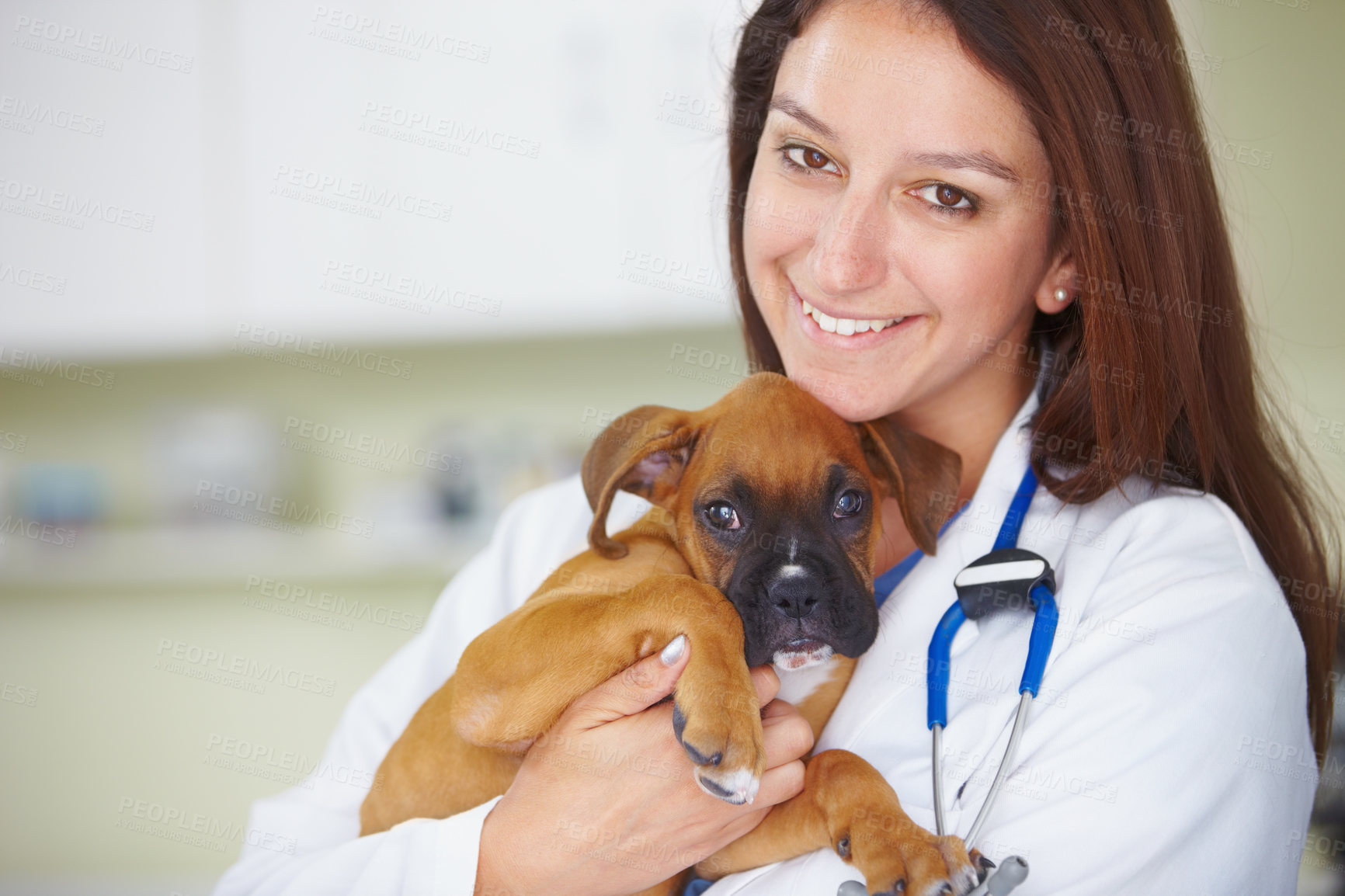Buy stock photo Vet service portrait, dog and happy woman for medical help, wellness healing career or animal healthcare support. Veterinary aid, specialist trust and veterinarian smile for pet canine health care