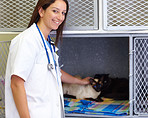 Giving your animal the love and attention it needs