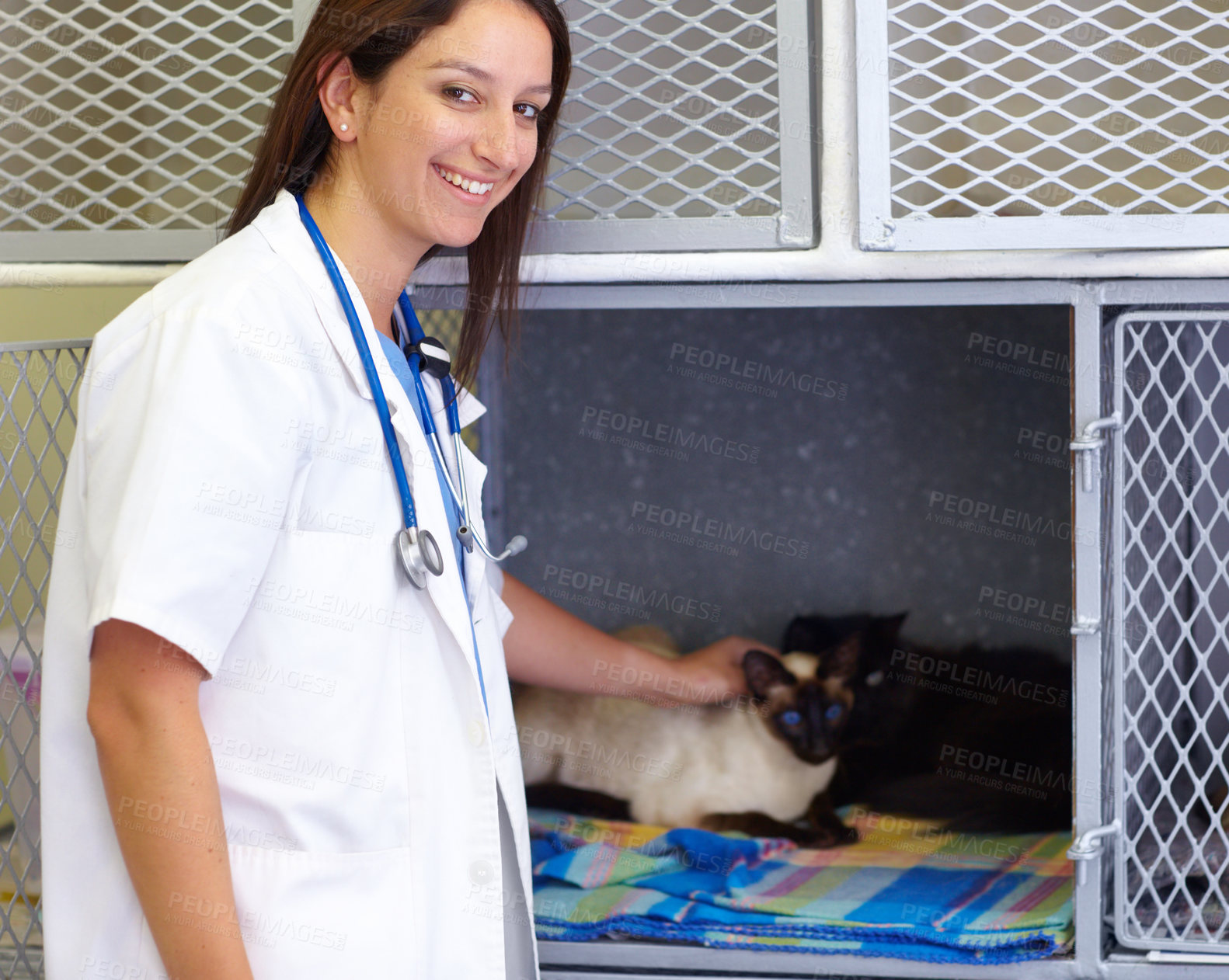 Buy stock photo Vet service portrait, cat and happy woman, expert or professional for medical help, kitty examination or animal healthcare. Veterinary patient, cage kitten and veterinarian for pet feline health care