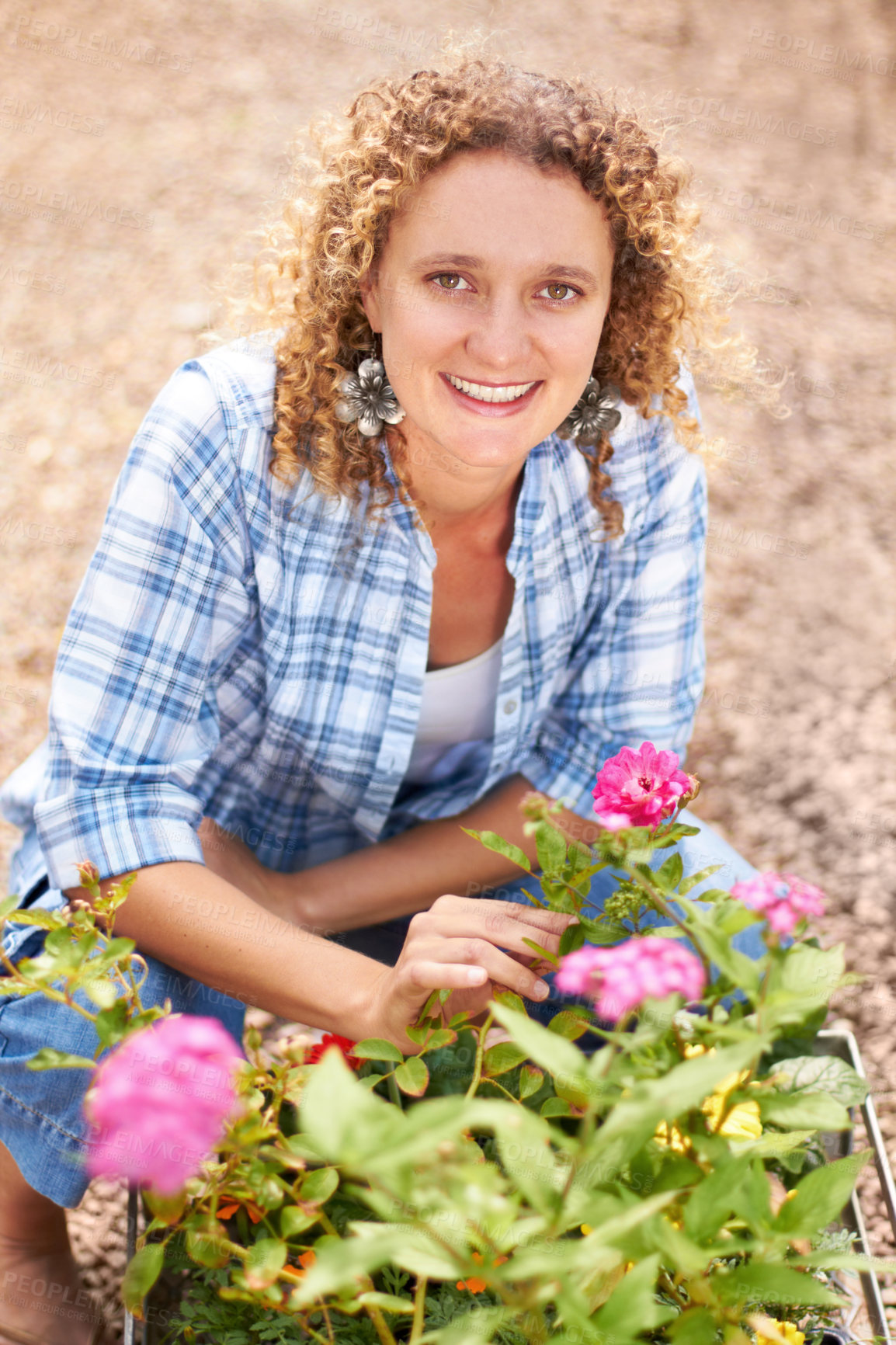 Buy stock photo Happy, portrait and a woman gardening in nature for sustainability, ecology care and inspection. Smile, spring and a florist or girl with plants or flowers in a backyard or garden for lawn design