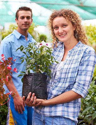 Buy stock photo Shot of a young woman holding a plant in a nursery