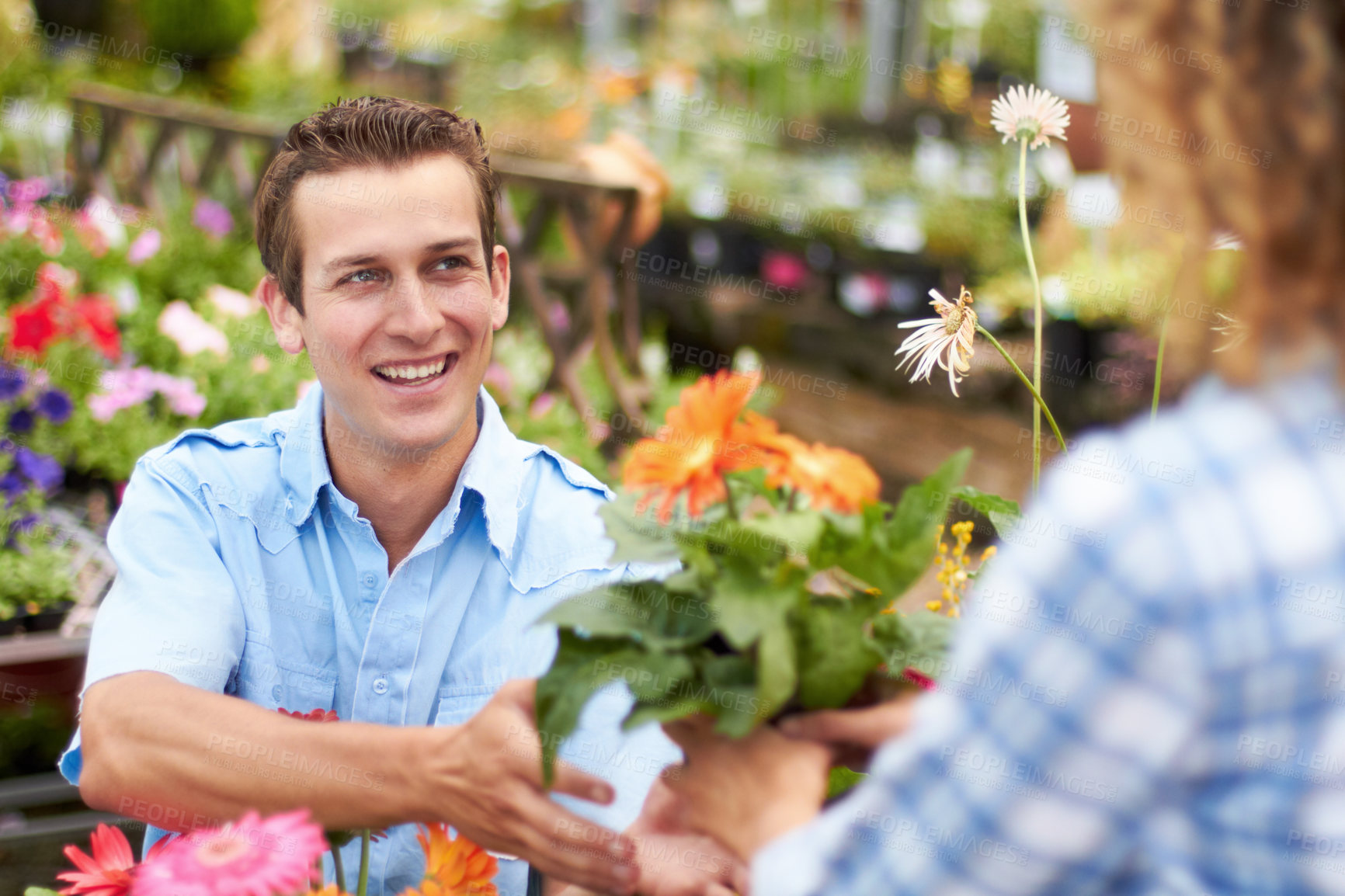 Buy stock photo A happy couple choosing flowers in a nursary