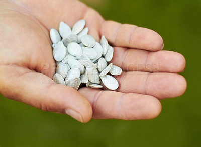 Buy stock photo Shot of a hand holding seeds