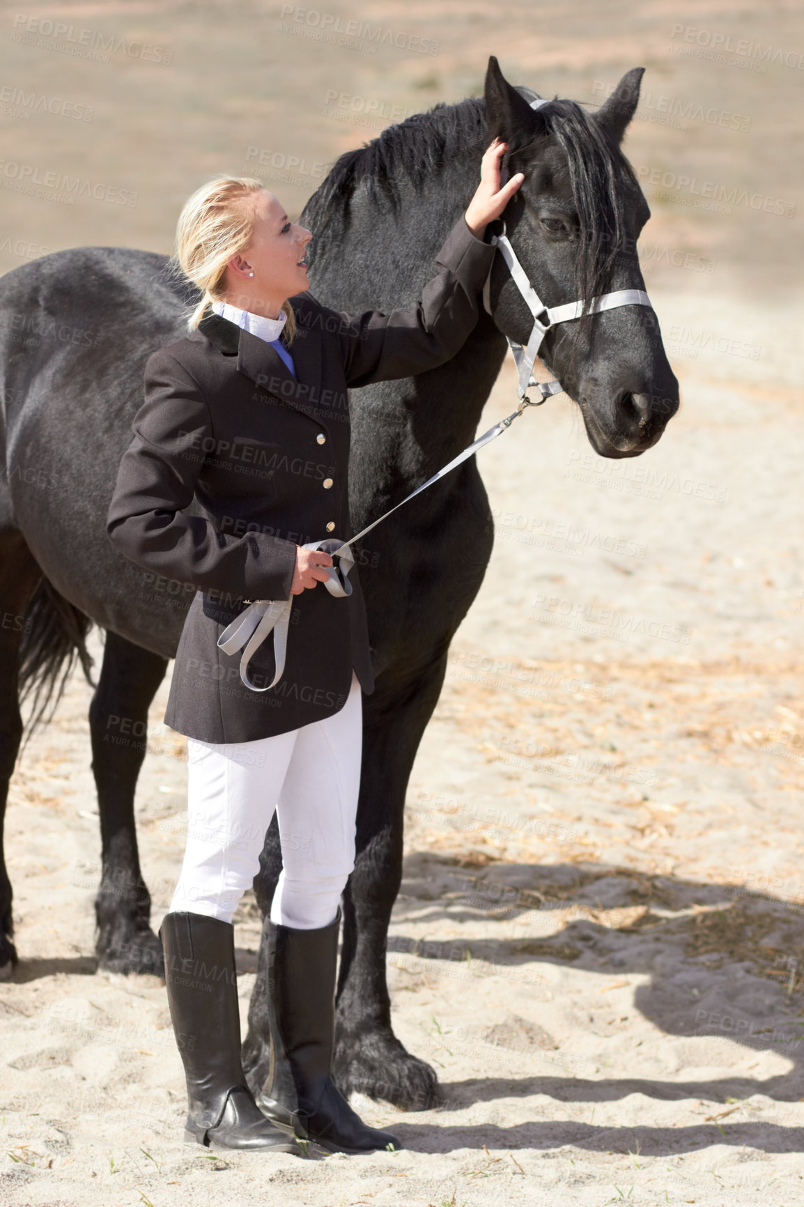 Buy stock photo Horse rider, trainer and woman on equestrian training and competition ground with a pet. Outdoor, female competitor and show horses stable with a girl stroking an animal before riding with helmet