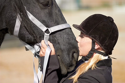 Buy stock photo Horse kiss, trainer and woman on equestrian training and competition ground with a pet. Outdoor, female and show horses stable with girl and animal before riding with helmet showing love and care